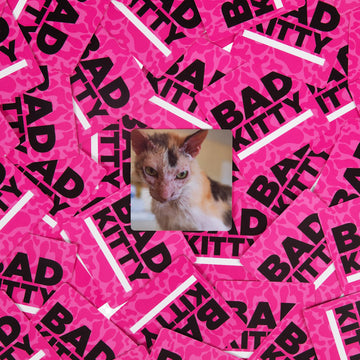 BAD KITTY Party Game - The Ultimate Meme Game with Cats - The Cats Against Humans Card Game